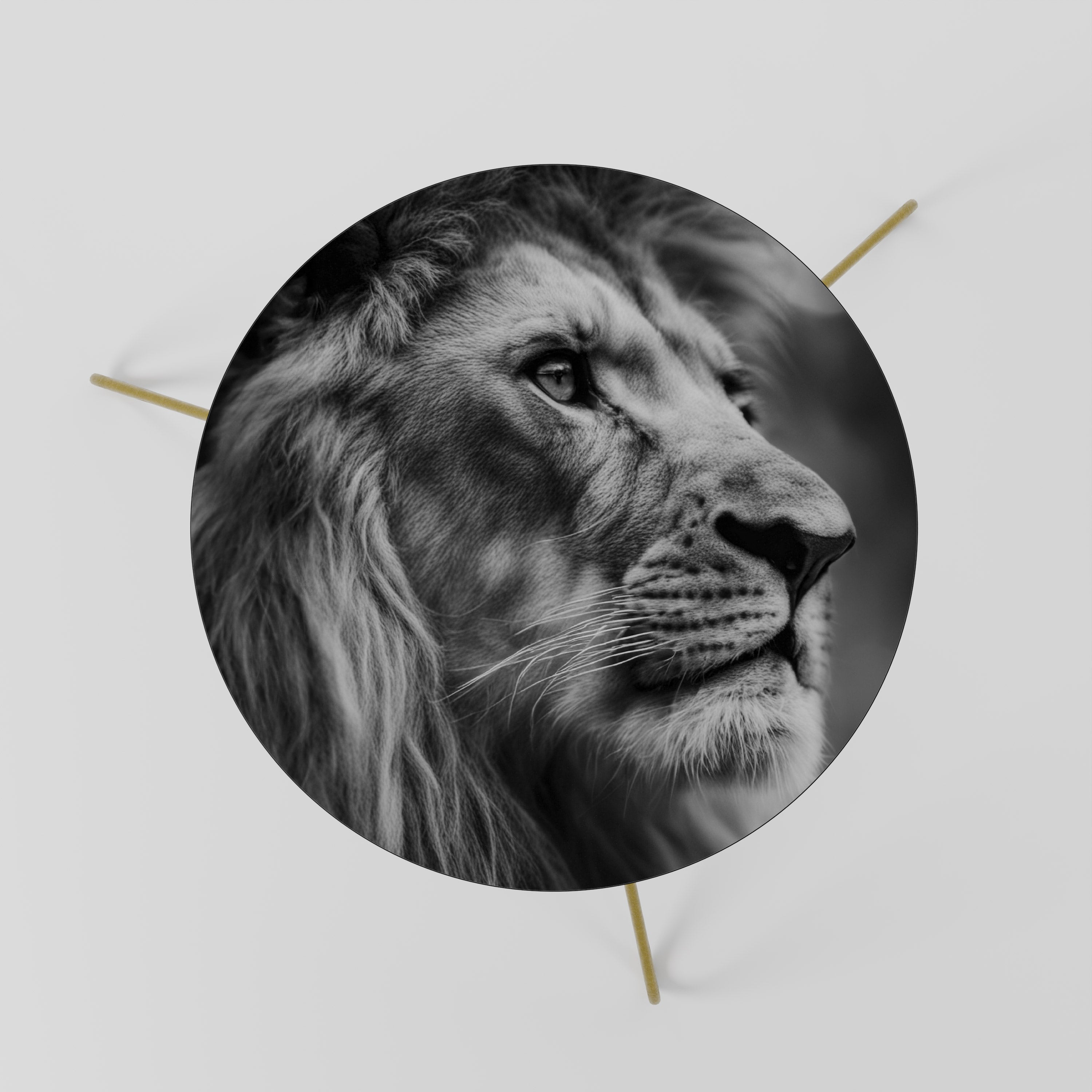 ROYAL REFLECTION Mesa de Centro 60