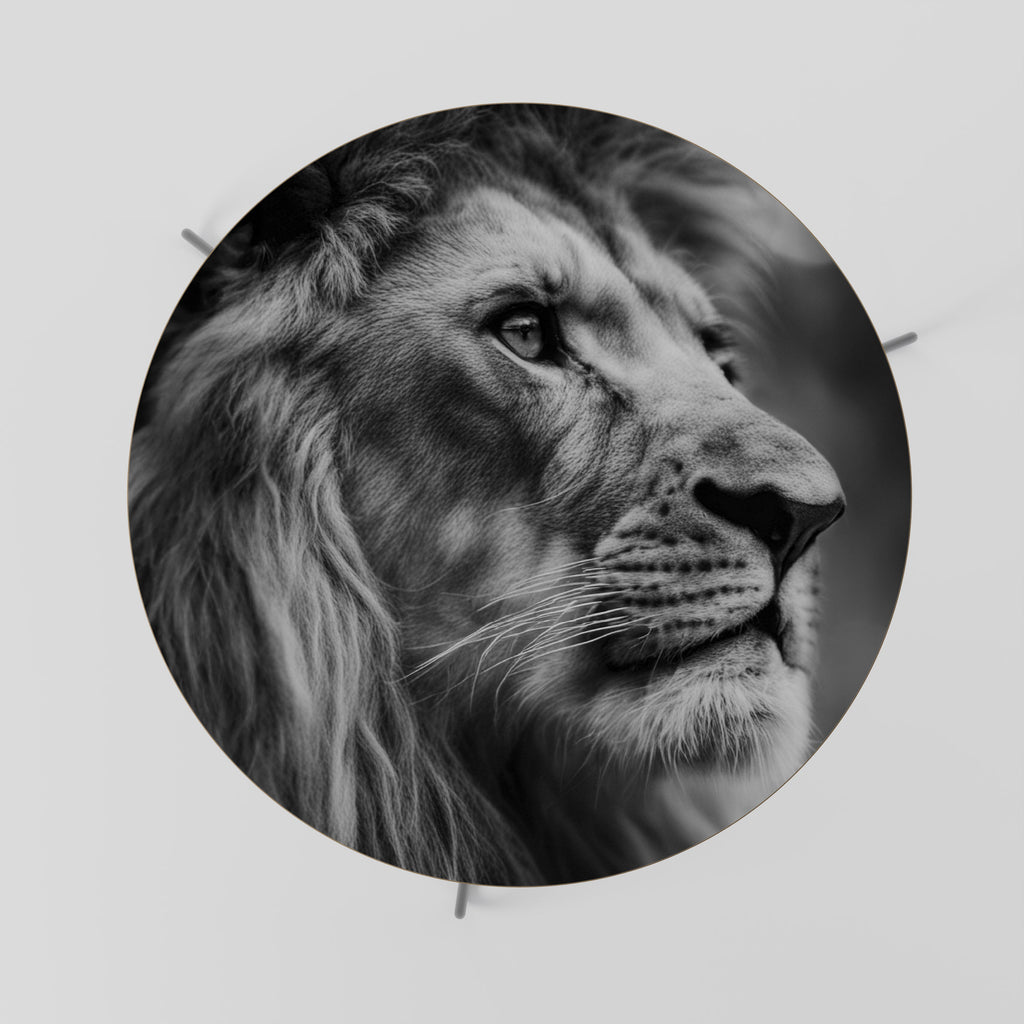 ROYAL REFLECTION Mesa de Centro 69