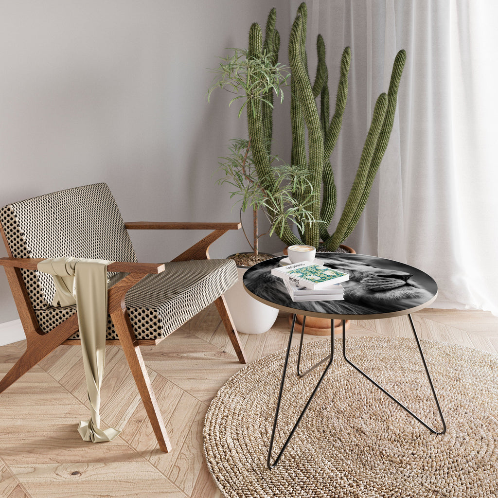 ROYAL REFLECTION Mesa de Centro 69