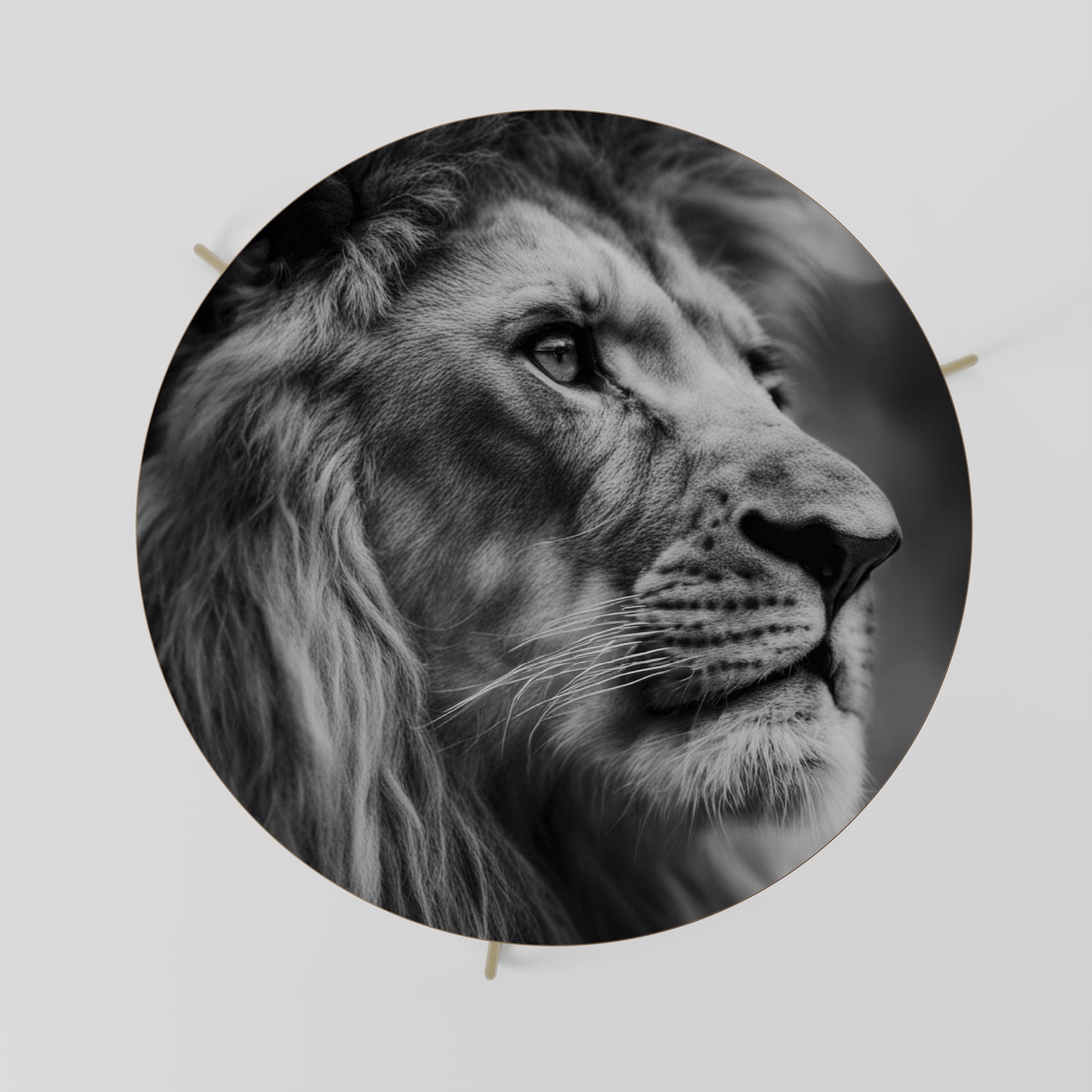 ROYAL REFLECTION Mesa de Centro 69