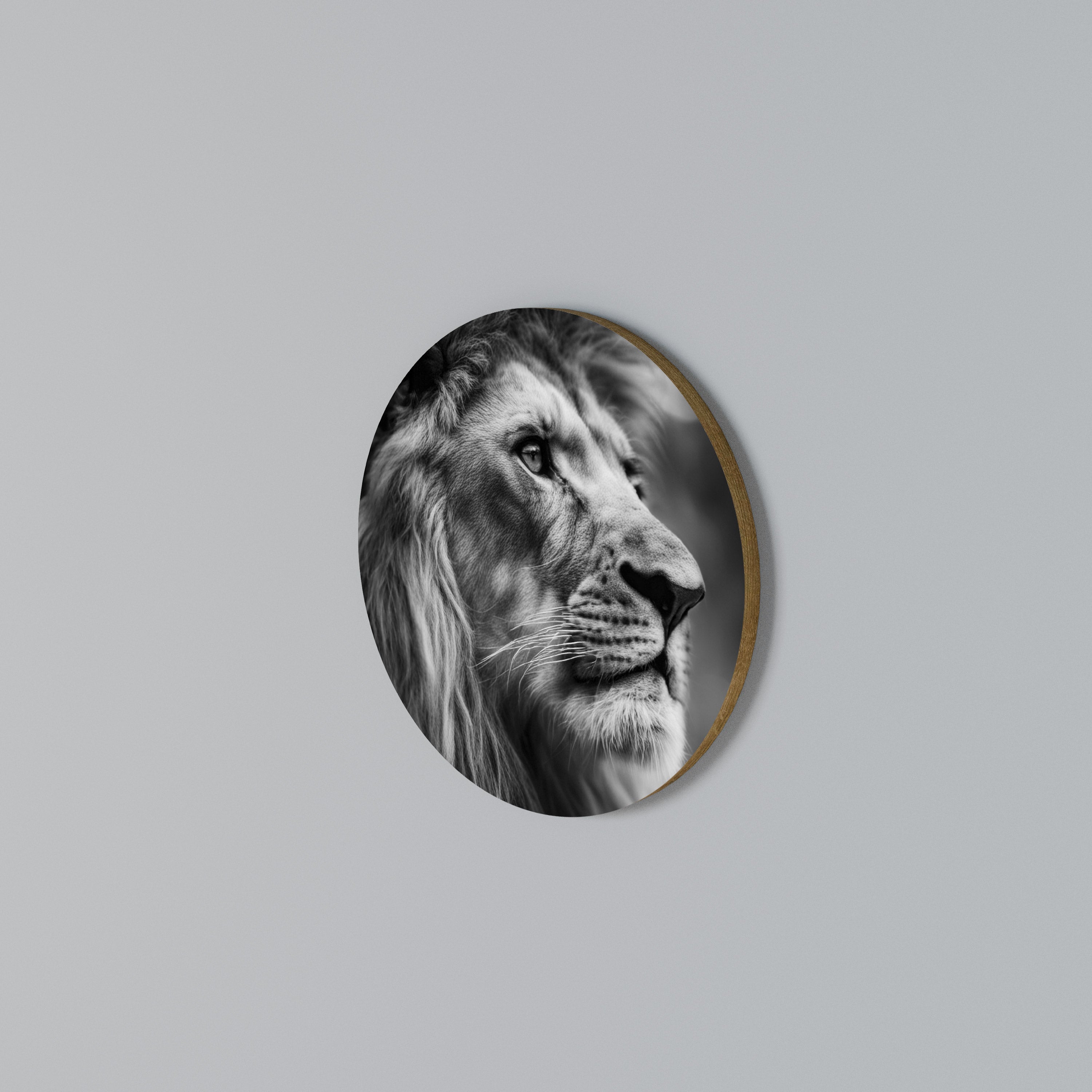 ROYAL REFLECTION Arte de Parede Redonda