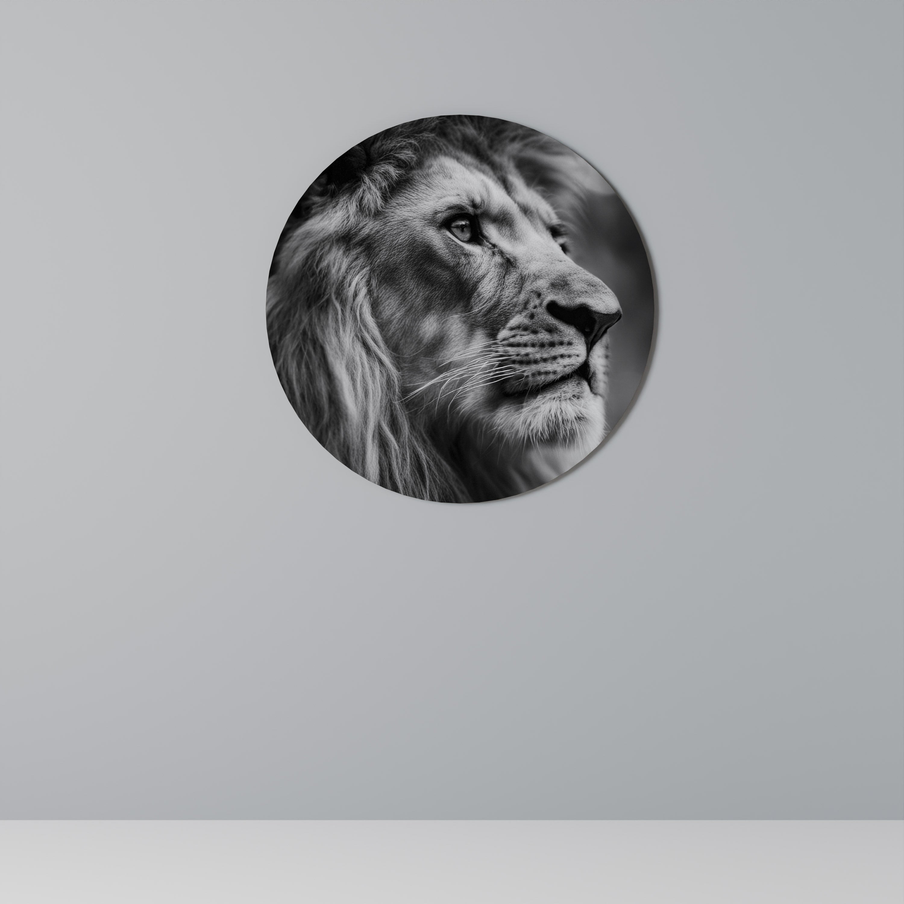 ROYAL REFLECTION Quadro Redondo Decorativo