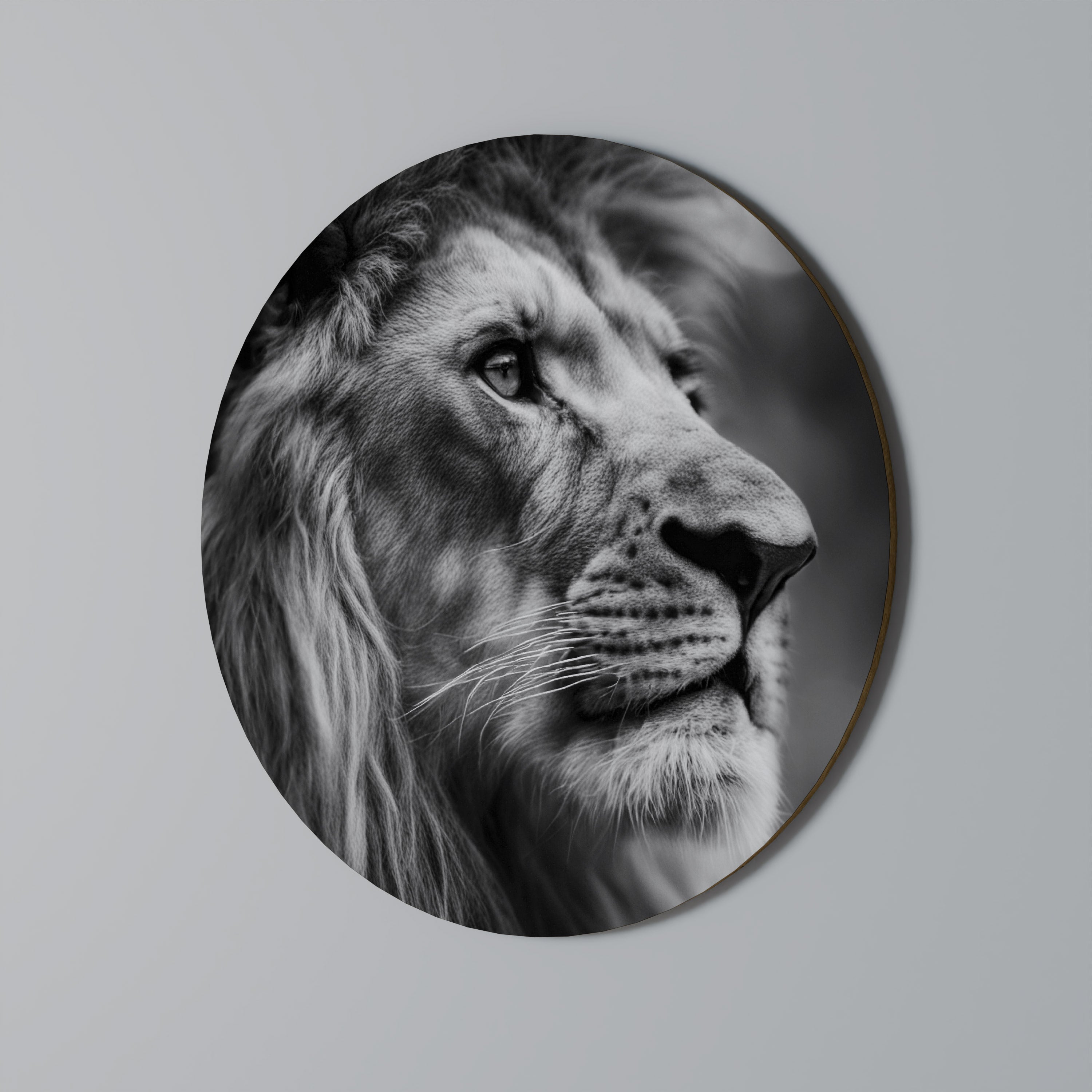 ROYAL REFLECTION Quadro Redondo Decorativo