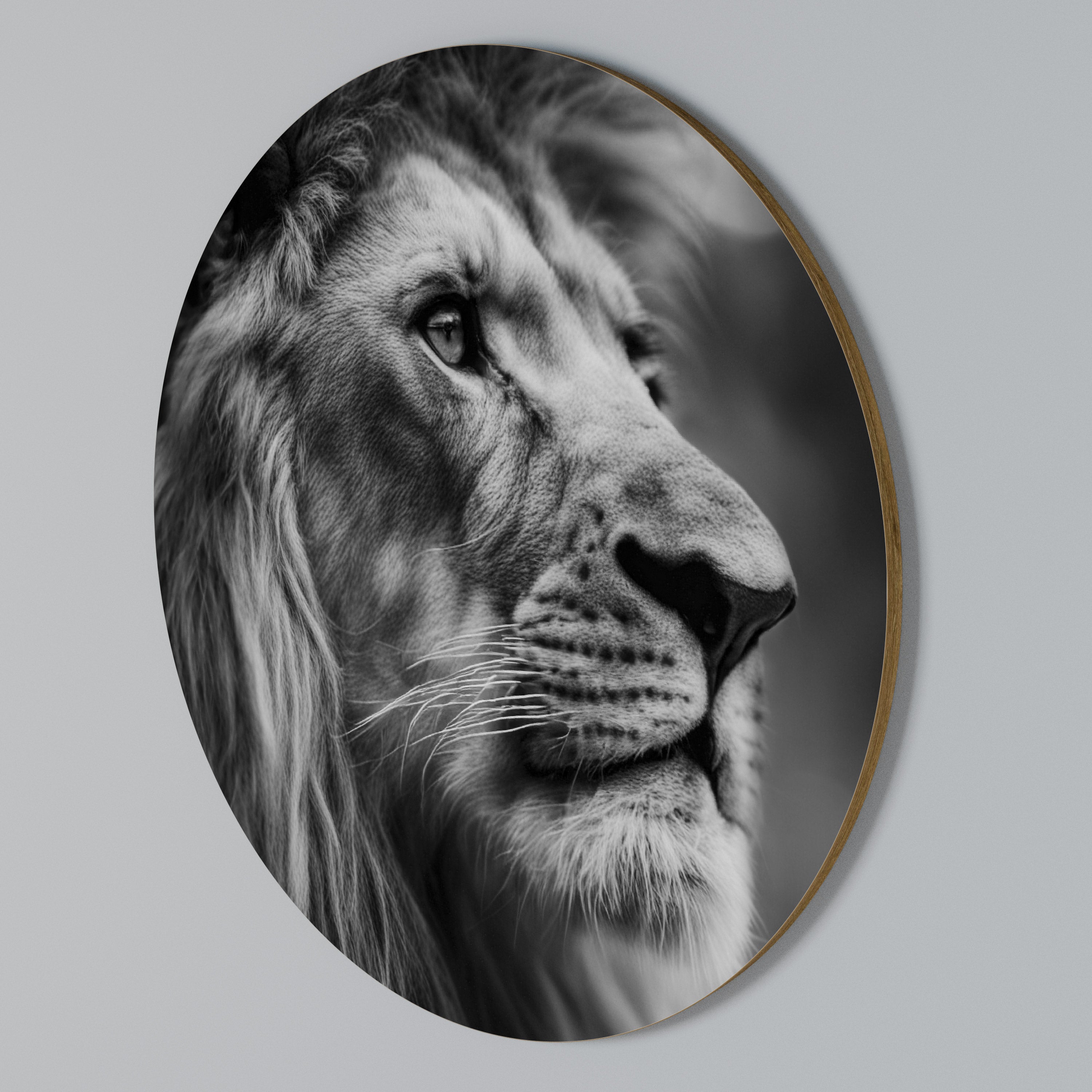 ROYAL REFLECTION Arte de Parede Redonda