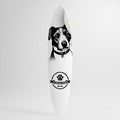 JACK RUSSEL TERRIER Autocolante Prancha de Surf